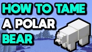 How to Tame a Polar Bear in Minecraft 1.20 #Shorts