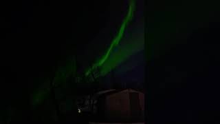 #Auroralights #northernlights #northernlightsmagic  #skymagic #norway