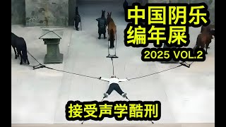 中国阴乐编年屎 2025 VOL.2