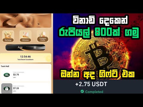 ඔන්න අද  ගිෆ්ට් එකක් | e money sinhala | earn usdt new platform sinhala