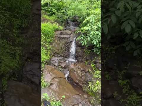Natural water fall in the middle of the forest #nature #waterfall #waterfallsounds #forest