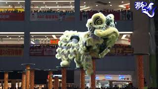 广东佛山南海黄飞鸿中联武术龙狮协会