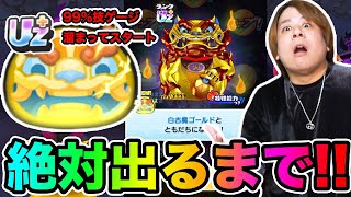 ぷにぷに「まさかの事件発生です!!!!!」UZ＋白古魔ゴールド出るまで超妖魔ガシャ!!【妖怪ウォッチぷにぷに】  Yo-kai Watch   part1744とーまゲーム