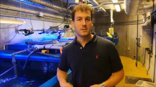 Aleix Pinyol Gallemí - MSc Eng in Aquatic Science and Technology - tells about his current job