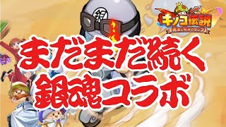 【キノコ伝説】武道会調整＆銀魂コラボを遊びつくそう（課金）【検証系Youtuber】