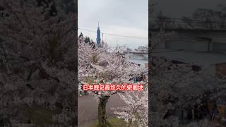 【Shorts #322】【日本旅遊 #12】奈良🇯🇵 生駒山上駛，日本年紀最大、歷史最悠久的遊樂園， 海盜船太可愛了吧 #在地人推薦 #奈良 #日本 #生駒 #生駒山 #遊園地 #歷史 #旅遊