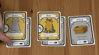 BEMUTATÓ: CAT LADY BOLDOGSÁGDOBOZ