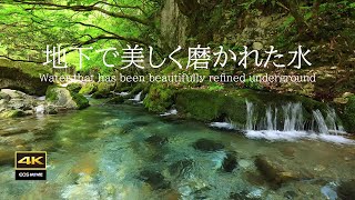 4K Natural Sounds / The sound of a river with groundwater refined underground Birds chirping