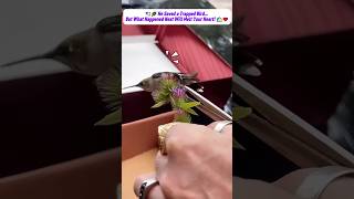 He Heard Cries from the Bushes... What He Found Will Leave You Speechless 😱💔🕊️ #animals #birds  #pet