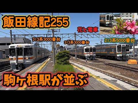 【飯田線・2024年】飯田線記255,ちょっとレアかも？夏の駒ヶ根駅に電車が並んだ瞬間。