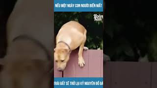 phim hoạt hình-ngày tận thế