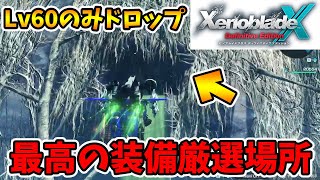 最強装備はココで厳選！1時間厳選してみた結果がコチラ。【ゼノブレイドクロスDE】【naotin】