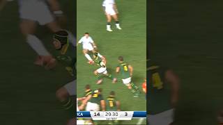 KURT-LEE ARENDSE DESTROYS ITALY| Springboks vs Italy at Loftus| #springboks #rugby #shorts