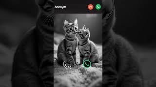 #call #iphone #ringtone #smartphone #ringtones #innovation #iphone15 #mobiletech #tech #cat