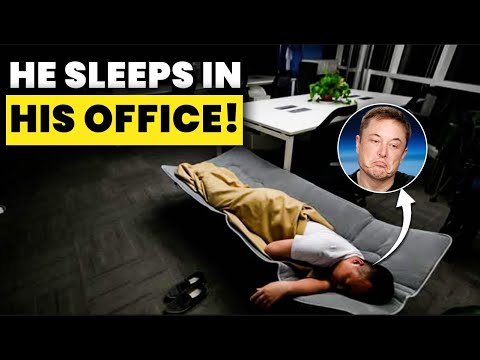 Elon Musk made 200 Billion Net Worth while Sleeping! | BigBrainPlus ft. Aditi Sharma