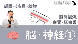 【看護国試】脳脊髄液は〇〇から産生させる