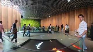 EXPO 2025 日本館