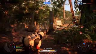 Doad The Toad live stream