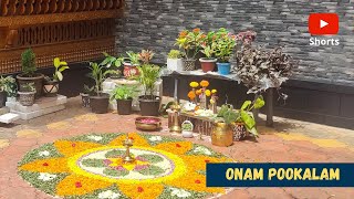 Onam Pookalam | Happy Onam !!! #shorts