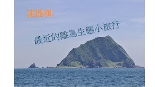基隆嶼離島生態小旅行