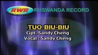 Karaoke Lagu Bugis - Tuo Biu Biu Voc. Sandy Cheng (Original Video)