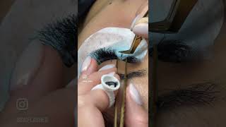 Lash Map Tips EPS 76