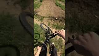 Bigline POV