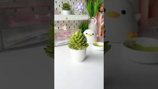 DIY Artificial plant using pista shells #artshorts #diy #shortviral #diycraft #diyart