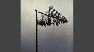 Decay