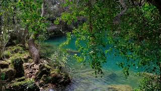Waterfall   108513