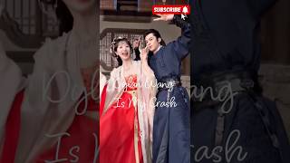 All girls crash #dylanwang #chineseactor #wanghedi #chinesedrama #kpop #bts #bhfyp #dixin #kdrama