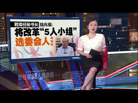 若续任行动党秘书长   陆兆福将改革5人小组选委会 | 新闻报报看 14/03/2025