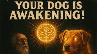 Edgar Cayce's Prophecy About Dogs Is Coming Fulfilled Today – What He Saw Will Shock You