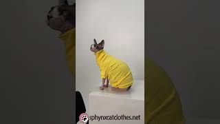 Yellow Cat Sweater Review: Is It Worth It?YellowCatSweater#CatFashion#CatClothing#CatStyle #cat