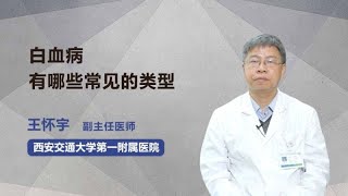 白血病有哪些常见的类型 王怀宇 西安交通大学第一附属医院