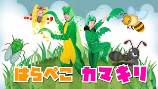 【60分連続】はらぺこカマキリ ほか人気曲メドレー♫Covered by おどりっぴぃ