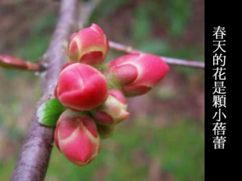 風兒輕輕吹 - 許景淳