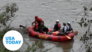Cadaver dogs aid search in North Carolina in Helene's wake | USA TODAY