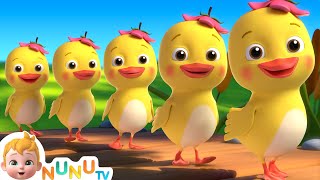 Five Little Ducks + More Animal Songs & Nursery Rhymes | NuNu Tv