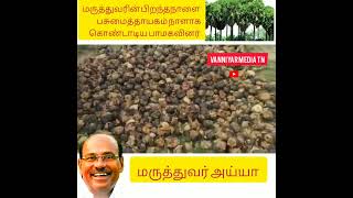 பனை விதைகளை பரிசளித்த பாமகவினர் மருத்துவர் பிறந்தநாள் மரம்நடுதல் #பனைமரம்