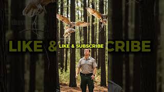 Owl Family’s Brave Fight Against Venomous Tarantula! #wildlife #rescue #animals