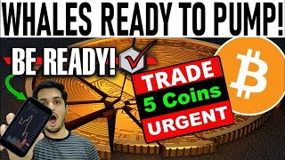 🔴 URGENT Bitcoin Pump Update | 5 Huge Potential Coins | Bitcoin Crypto News Today