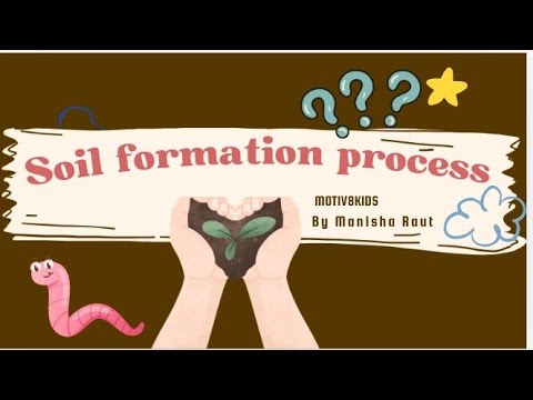soil formation process of soil formation
