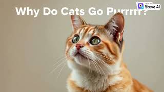Why Do Cats Purr? 🐱#CatFacts #learnwithme #MyMeowMagic
