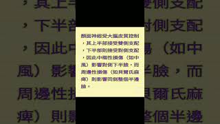#shorts 顏面神經受大腦皮質控制，其上半部接受雙側支配，下半部則接受對側支配，因此中樞性損傷（如中風）影響對側下半臉，而周邊性損傷（如貝爾氏麻痺）則影響同側整個半邊臉。