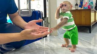 CEO Kien immediately returned home when he heard that Lala's eyes had serious problems!