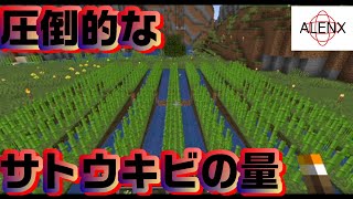 マイクラ サトウキビ畑、村人との交易のために大量の紙が必要になったので畑を作る マインクラフト