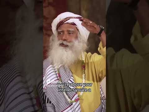 What is actual Buddha means #shortvideo #reels #temple #india #motivation #shorts