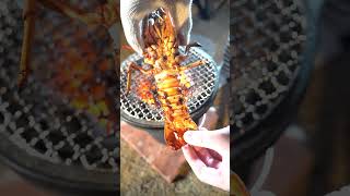 [Charcoal grill] Charcoal-grilled spiny lobster is too good! #asmr #seafood #fishing #bbq #lobster