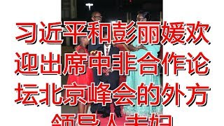 习近平和彭丽媛欢迎出席中非合作论坛北京峰会的外方领导人夫妇